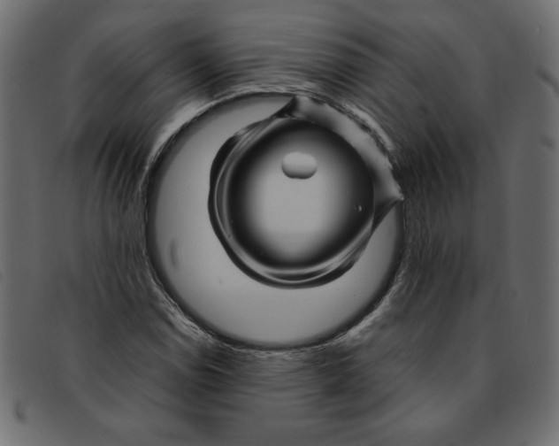 X0000092211114200710121123