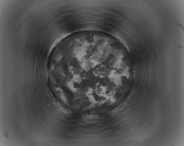 X0000092211117200710121123