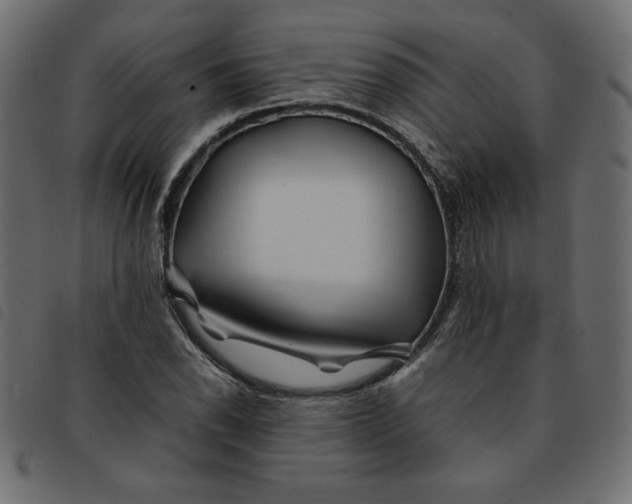 X0000092211118200710121123