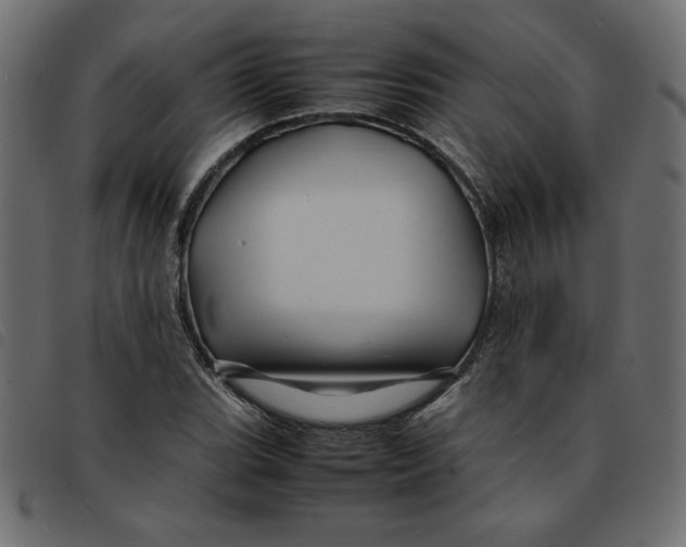 X0000092211119200710121123