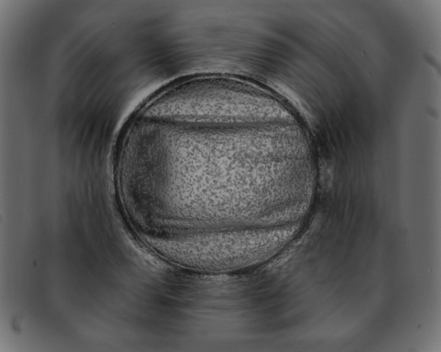 X0000092211120200710121123