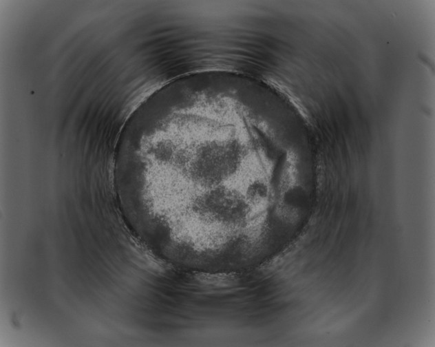 X0000092211121200710121123