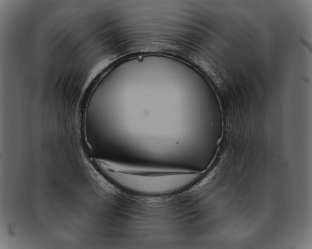X0000092211122200710121123