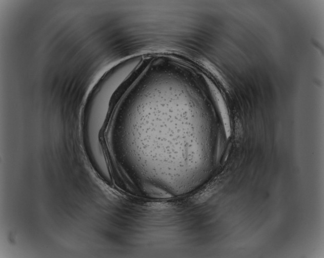 X0000092211124200710121123