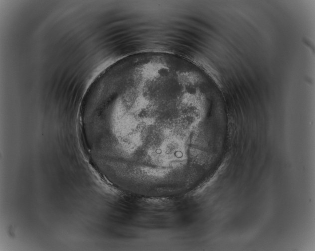 X0000092211125200710121123