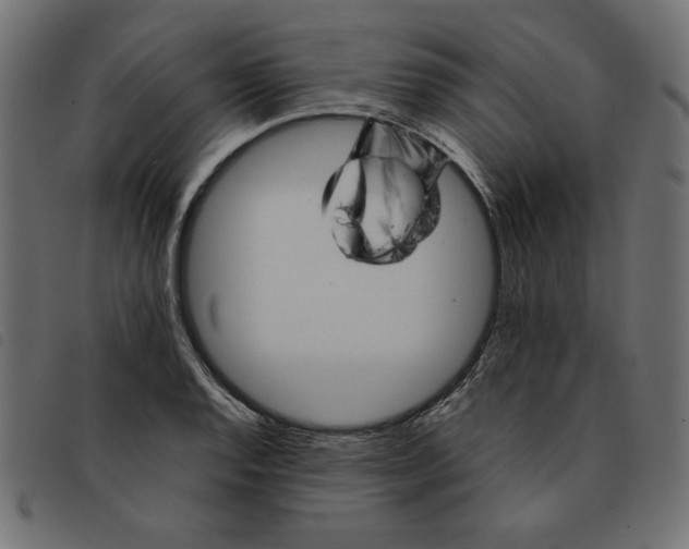 X0000092211128200710121123