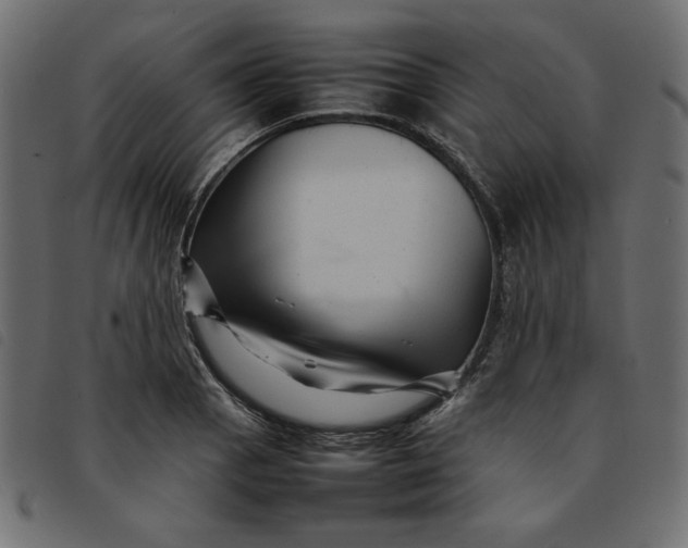 X0000092211129200710121123