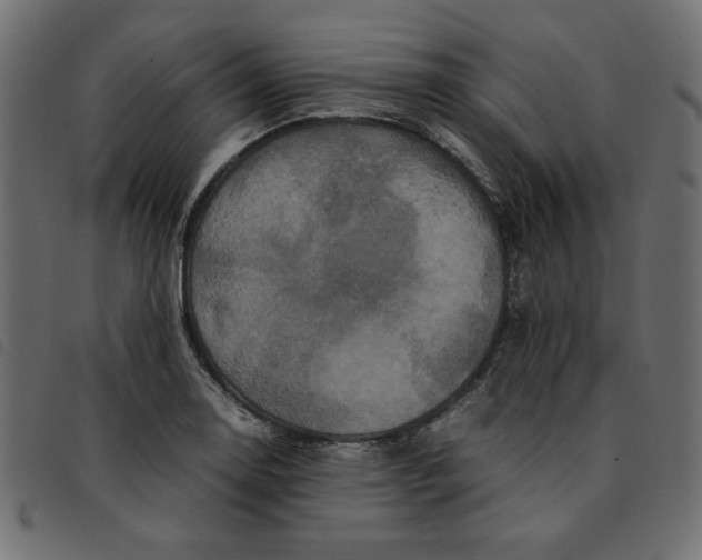 X0000092211130200710121123