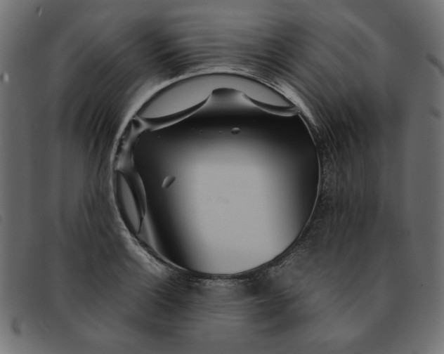 X0000092211132200710121123