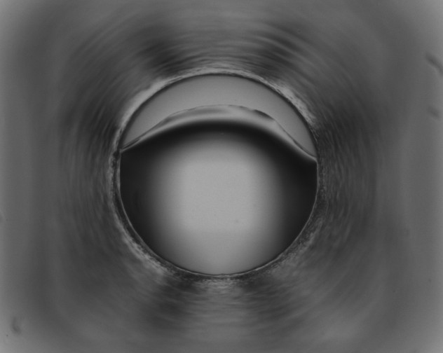 X0000092211134200710121123
