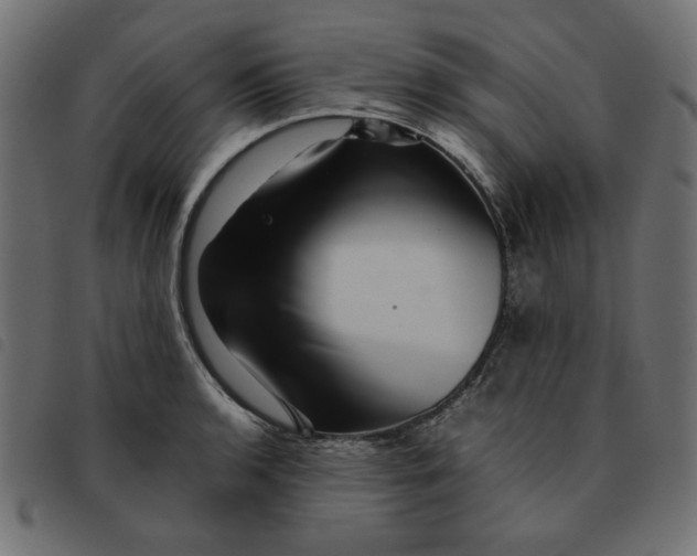 X0000092211136200710121123