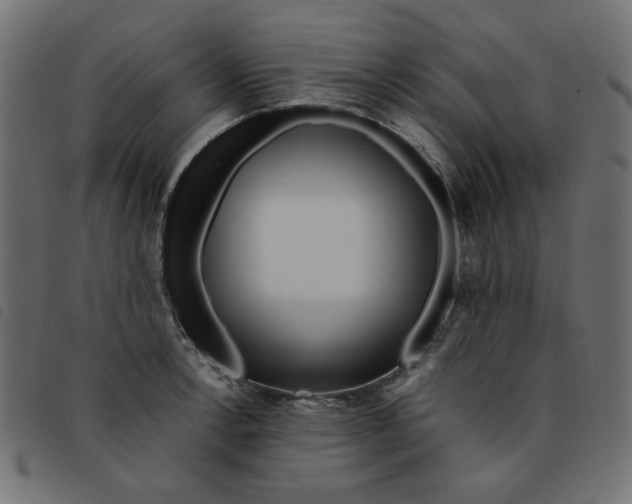 X0000092211138200710121123