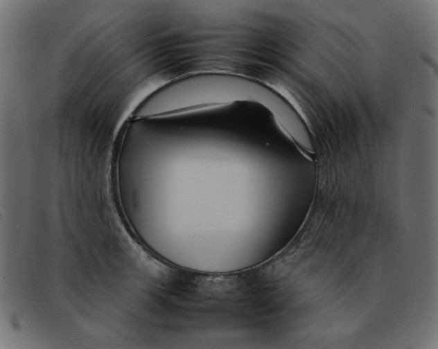 X0000092211139200710121123