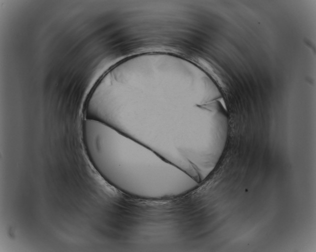 X0000092211140200710121123