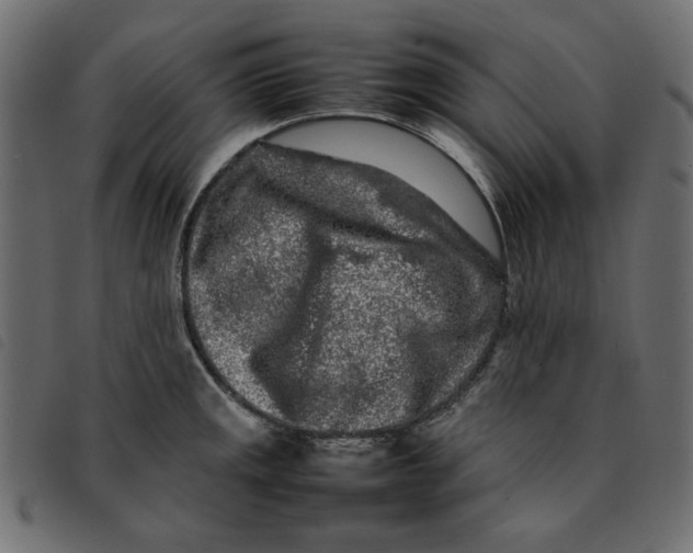 X0000092211141200710121123