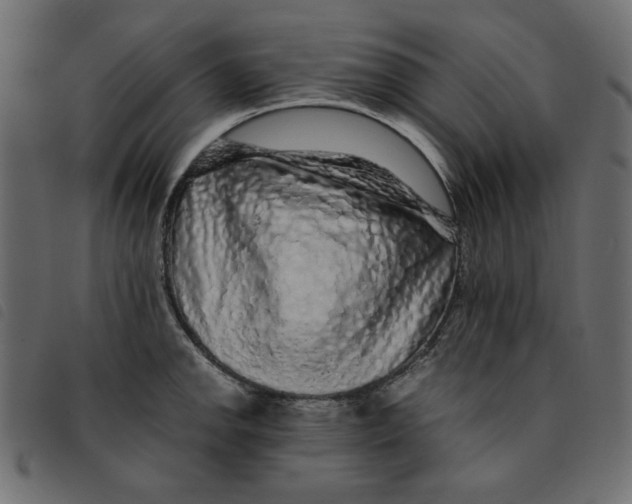 X0000092211142200710121123