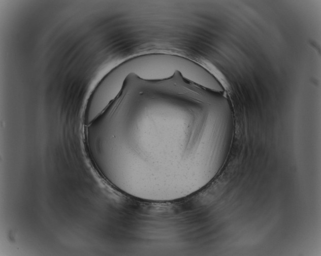 X0000092211144200710121123