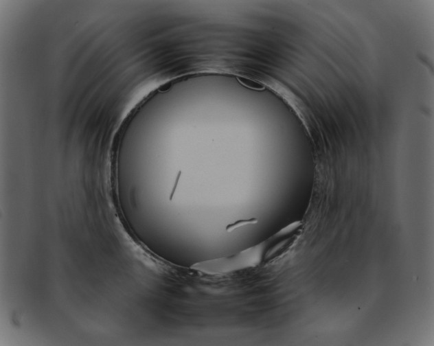 X0000092211147200710121123