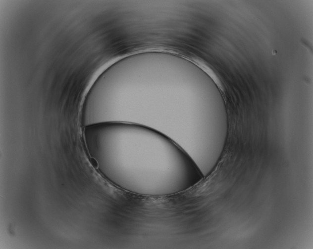 X0000092211148200710121123