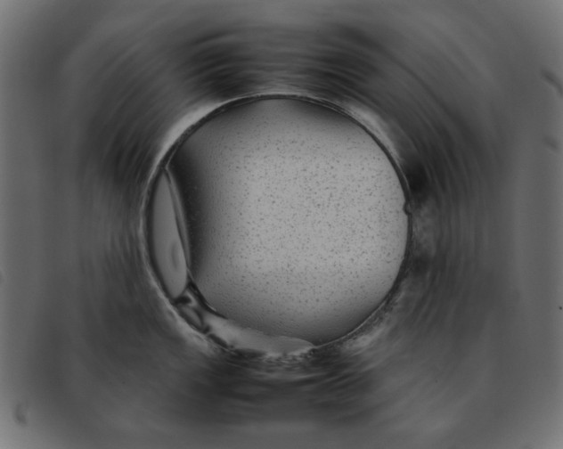 X0000092211149200710121123