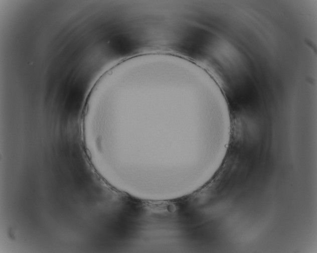 X0000092211150200710121123
