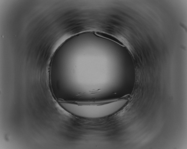 X0000092211151200710121123