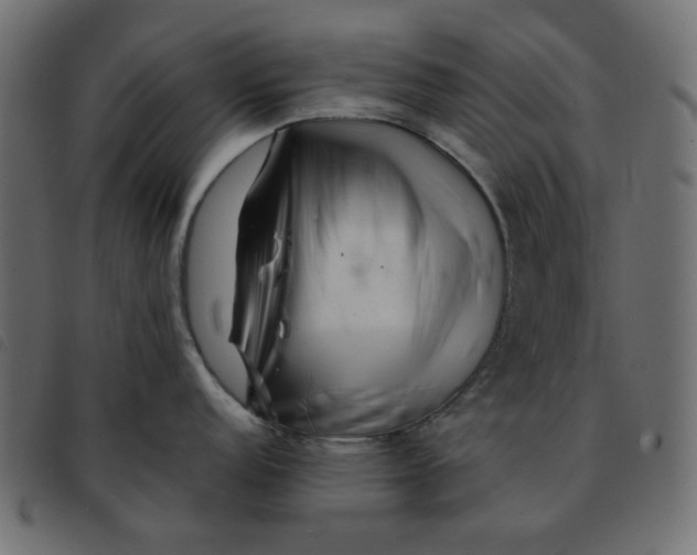 X0000092211152200710121123