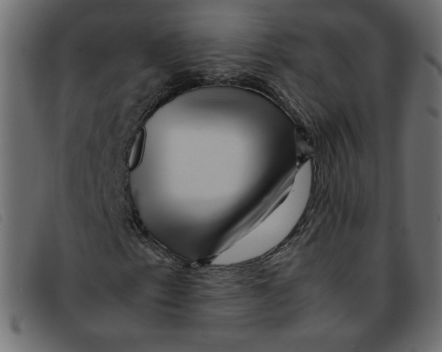 X0000092211153200710121123