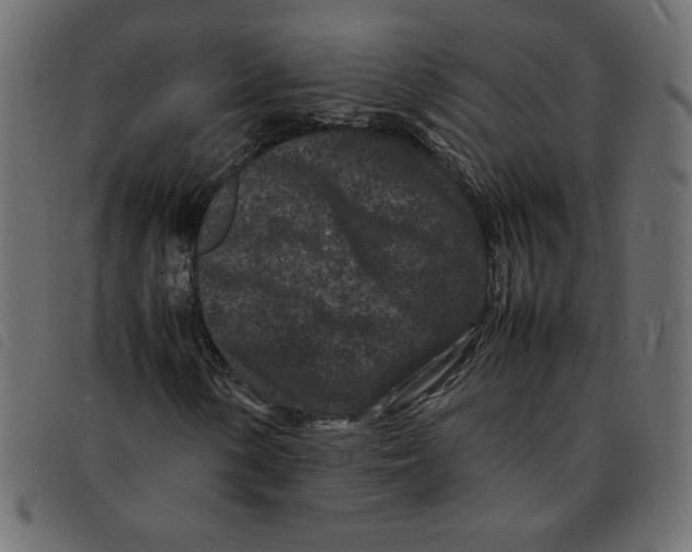 X0000092211154200710121123