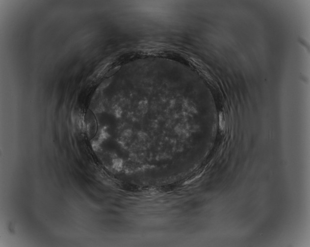 X0000092211155200710121123
