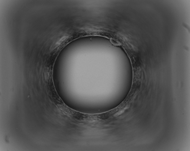 X0000092211157200710121123