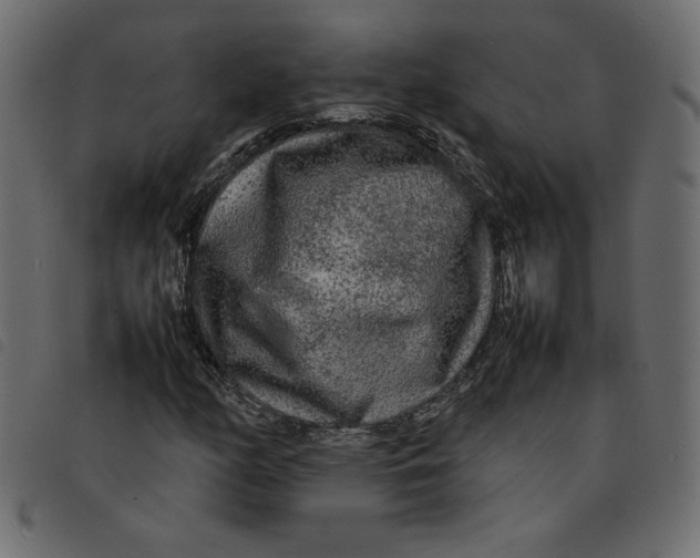 X0000092211158200710121123