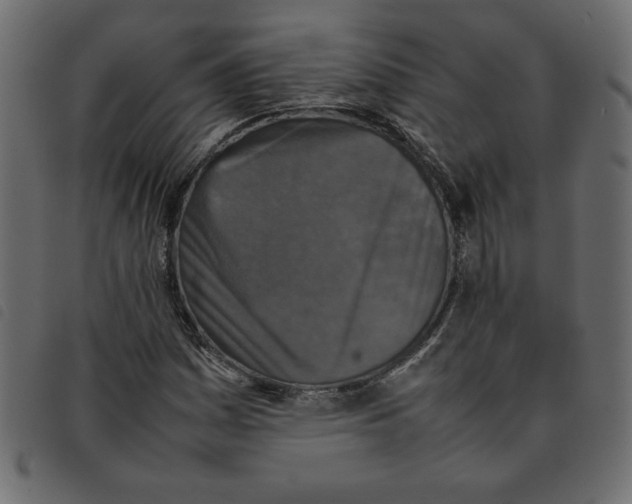 X0000092211161200710121123