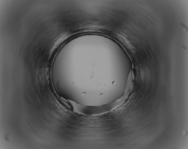 X0000092211164200710121123