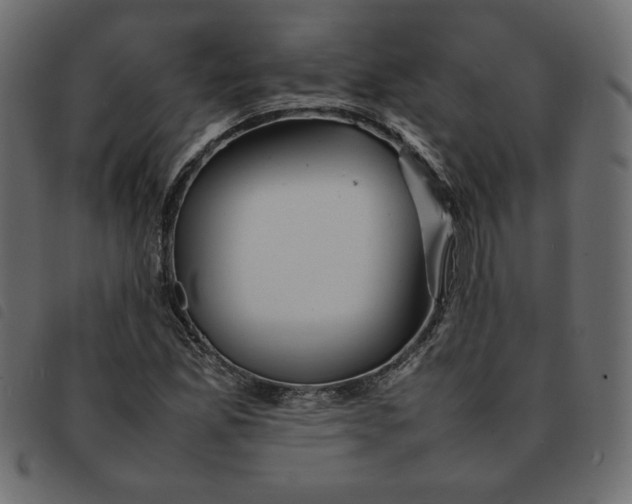 X0000092211165200710121123