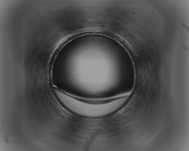 X0000092211168200710121123