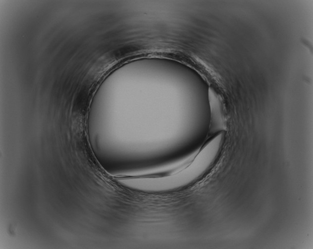 X0000092211169200710121123