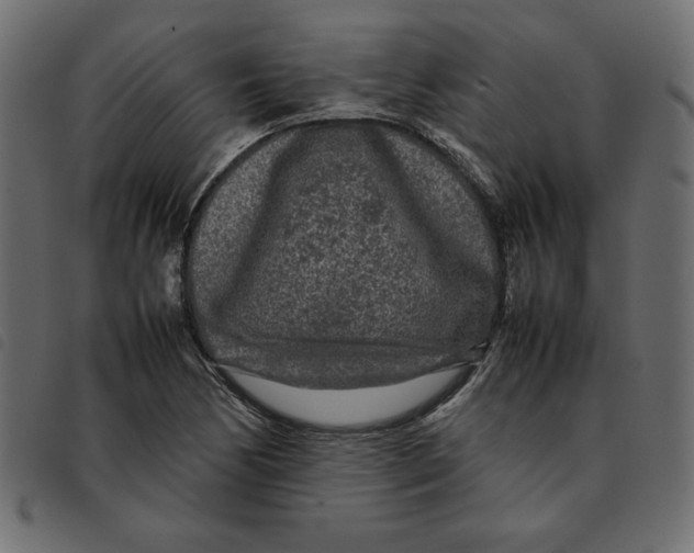 X0000092211170200710121123