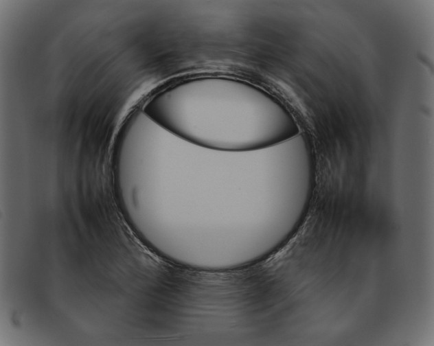 X0000092211172200710121123