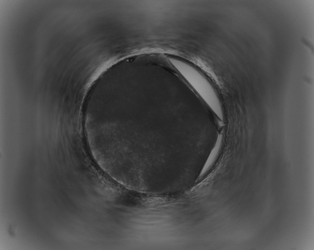 X0000092211173200710121123