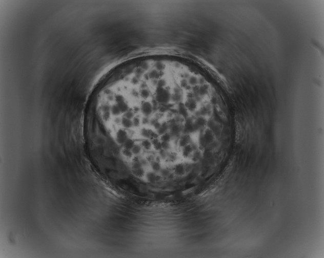 X0000092211174200710121123