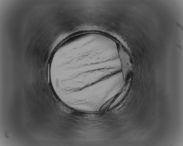 X0000092211175200710121123