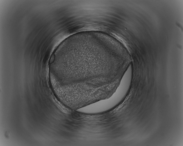 X0000092211179200710121122