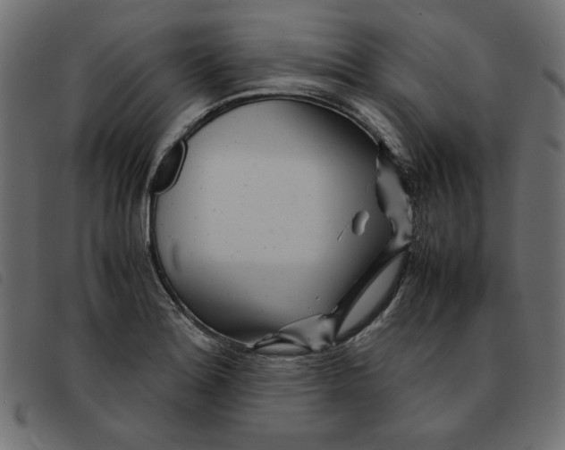 X0000092211180200710121122