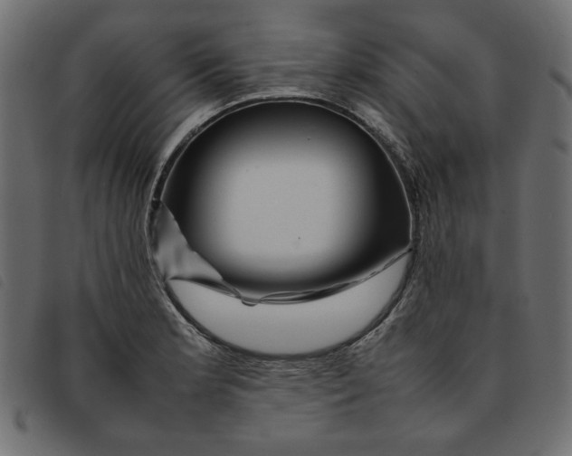 X0000092211181200710121122