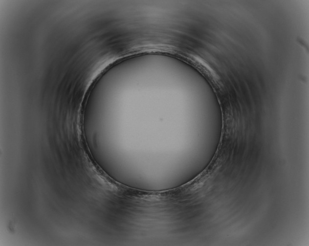 X0000092211182200710121122