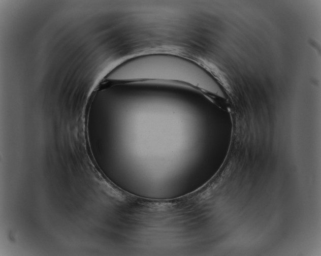 X0000092211184200710121122