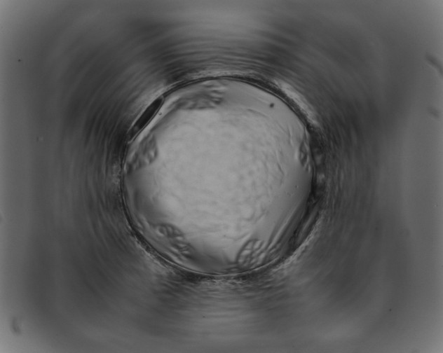 X0000092211185200710121122