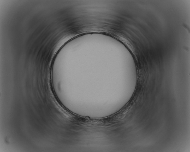 X0000092211187200710121122