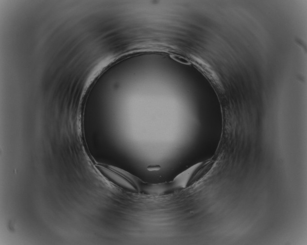 X0000092211188200710121122
